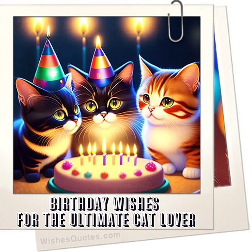 Birthday Wishes For Cat Status