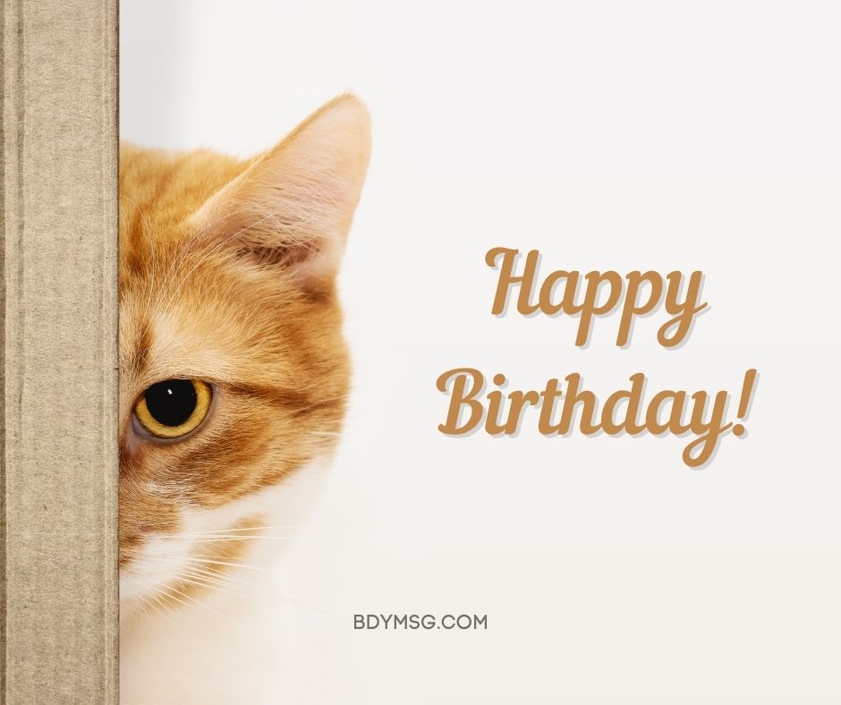 Cat Happy Birthday Image