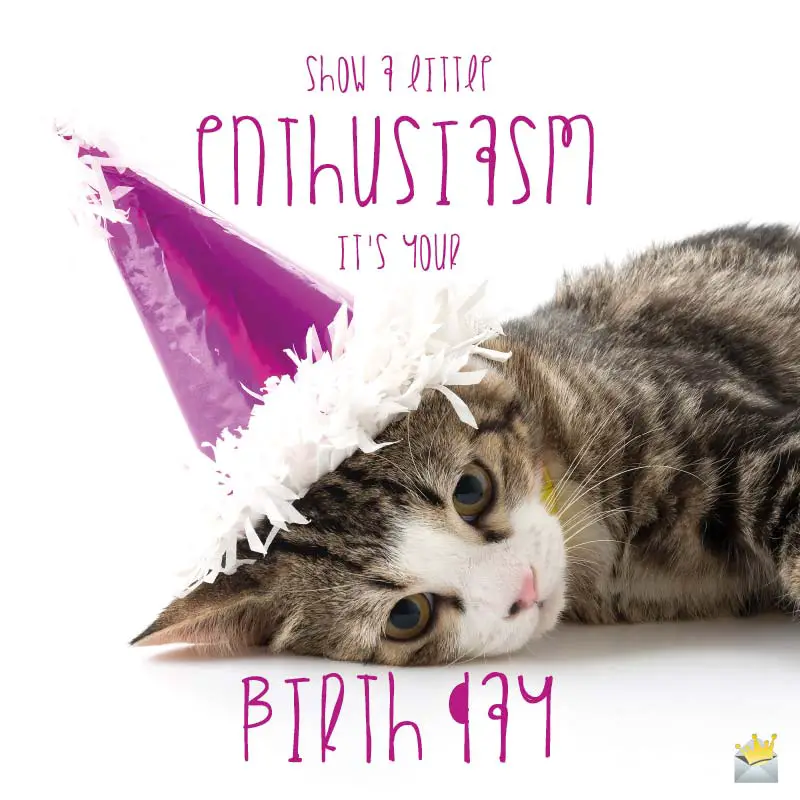 Enthusiastic Happy Birthday Cat Image