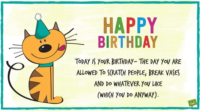 Funny Happy Birthday Cat Status