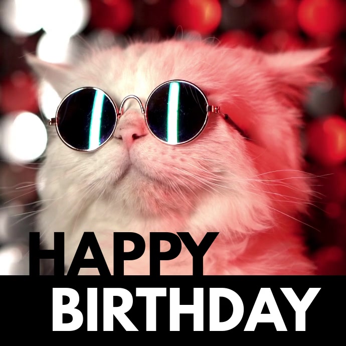 Happy Birthday Cool Cat Image