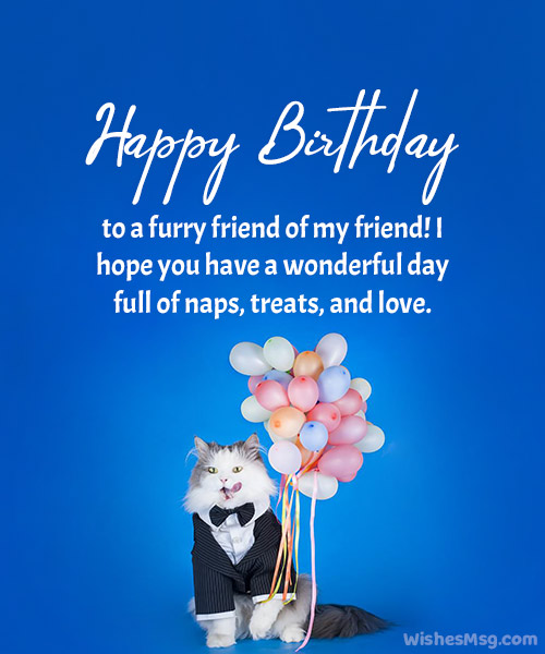 Happy Birthday For A Pet Cat Image