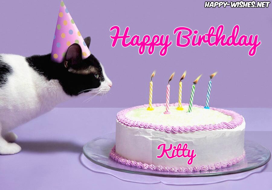 Happy Birthday Kitty Status