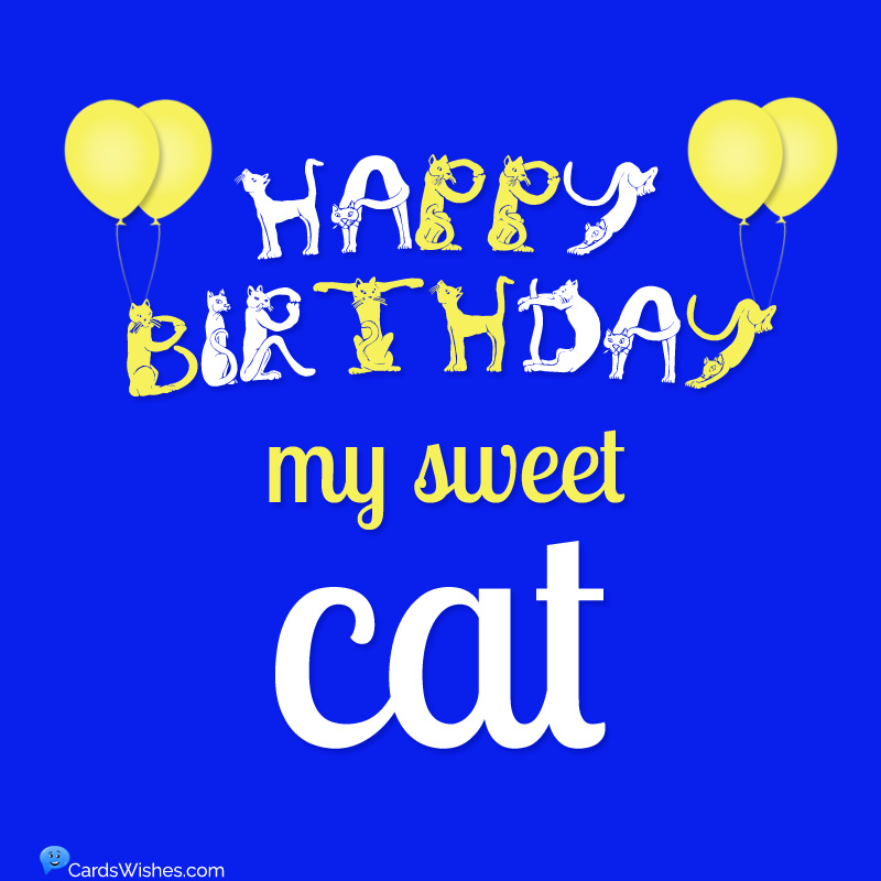 Happy Birthday My Sweet Cat Pic