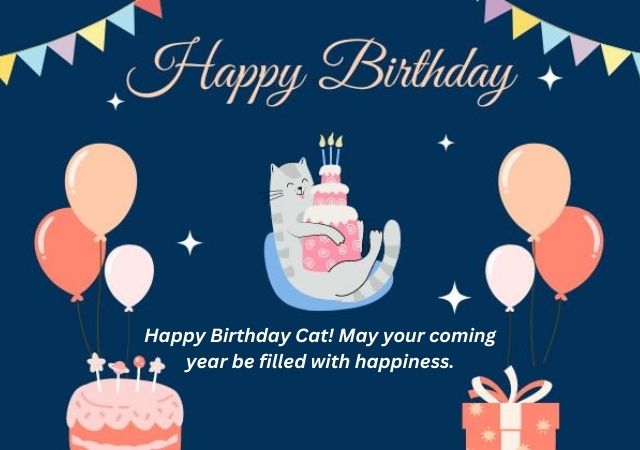 Happy Birthday Cat May All Your Dreams Comes True Pic